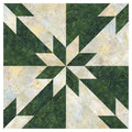 Accuquilt GO! Hunter Star-6" Finished (Makes 12" Finished Blocks) Die