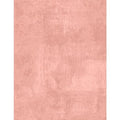 Dry Brush Peach 1077-89205-335