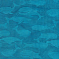 112117526 / Whales-Med Pool
