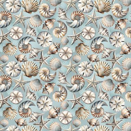 Coastal Shells Ocean