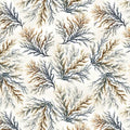 Coastal Coral Neutral