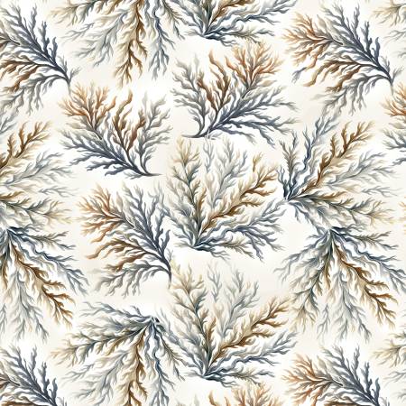 Coastal Coral Neutral