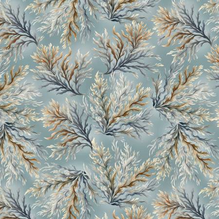 Coastal Coral Ocean