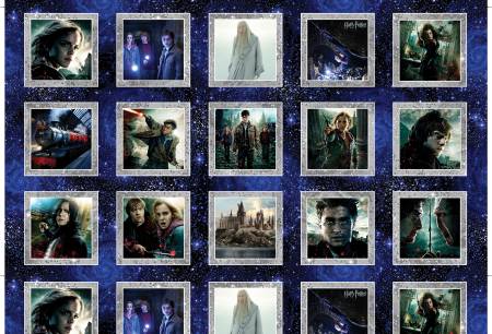 Harry Potter - Wizarding Boxes Multi Panel 24"