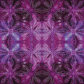 Incandescent Reflections Fuchsia