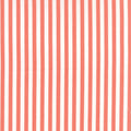 Prairie - Coral Stripe