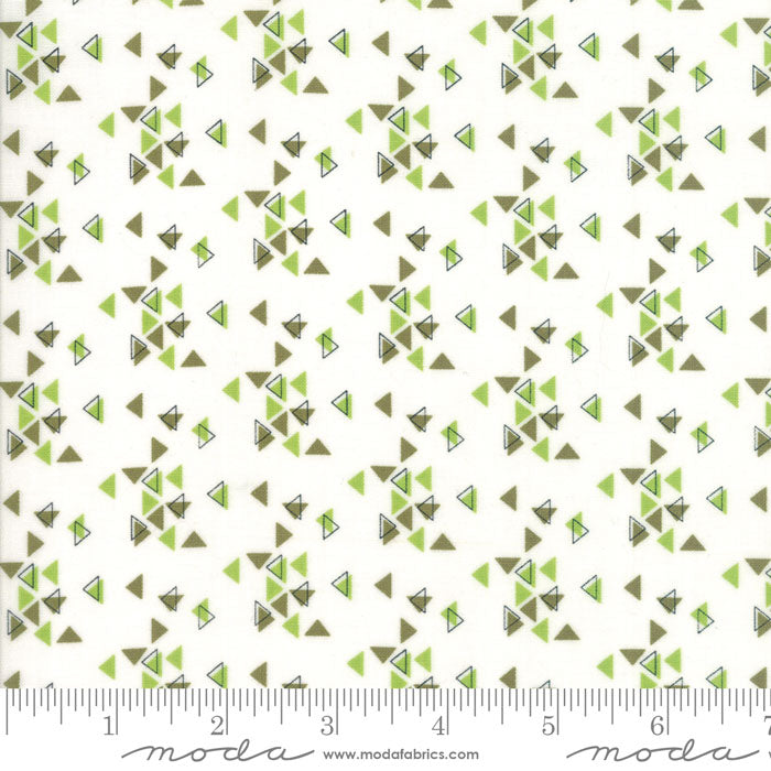 Spectrum Triangles - Avocado Paper (10862-22)