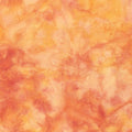 1895-384-Mimosa