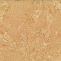 1895-43 Camel