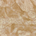 1895-563-Biscuit