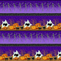 Purple/Multi Border Stripe/After Life Party