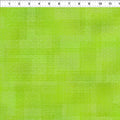 Interwoven by Jason Yenter 1WVN12-Lime