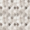 Grey Basketweave Look 21250609-02