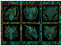 Dragons-Emerald Reign Small Multi Panel 21DRG-1