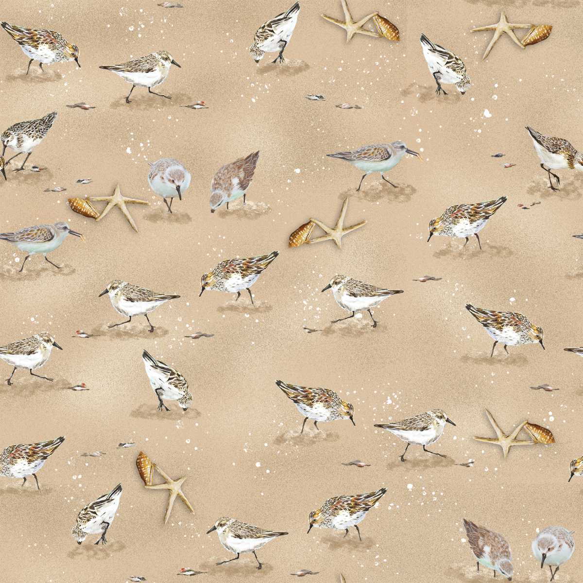 2327-31 Sand || Window to Paradise