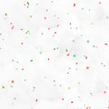 2458MK-108 Rainbow || Christmas in Color Minky