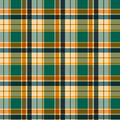 Happy Campers Teal/Multi Plaid
