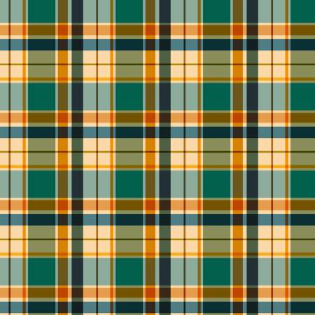 Happy Campers Teal/Multi Plaid