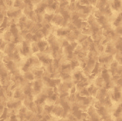 Color Dance-TAN-29008-EA