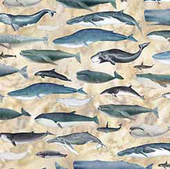 Siren's Call - WHALES-E