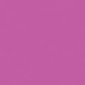 Superior Solids Raspberry