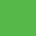 Superior Solids Kelly Green