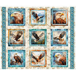 SKYWARD - EAGLE PICTURE PATCHES