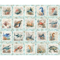 NAUTICUS - SEA CREATURES PICTURE PATCHES LT AQUA