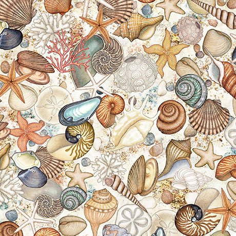 NAUTICUS - SHELLS - CREAM