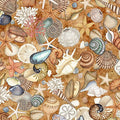 NAUTICUS - SHELLS - HONEY