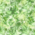 Stormwashed 32265-H Faded Fern