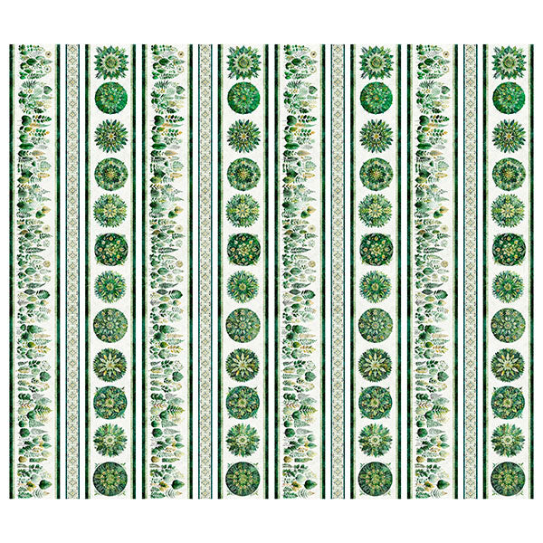 Sylvan Essence Botanical Border Stripe 32306-G