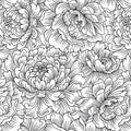 Scarlet's Treasure White Black Peony Monotone