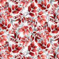 Scarlet's Treasure White Red Leaves