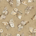 3714-32 Latte || Modern Lace