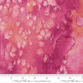 Flow Rose 8433 57