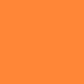 Pumpkin Solid 51583-33