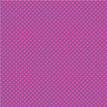 Wild Aster Dot to Dot