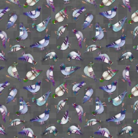 Asphalt Pigeon Pals 55465D-10
