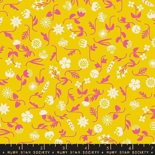 Salutations Golden Hour RS1095 12 Ruby Star#1