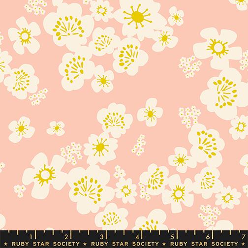 Paper Cuts 2 Peach Blossom RS1128 12DG