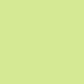 ColorWorks Premium Solid 9000-712 Sprout