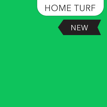 ColorWorks Premium Solids 9000-716 Home Turf