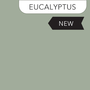 ColorWorks Premium Solids 9000-739 Eucalyptus