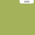 ColorWorks Premium Solid 9000-741 Kiwi