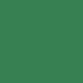 ColorWorks Premium Solid 9000-783 Palm
