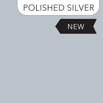 ColorWorks Premium Solids 9000-905 Polished Silver