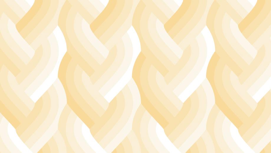 Echo Braid Ivory 42380 12
