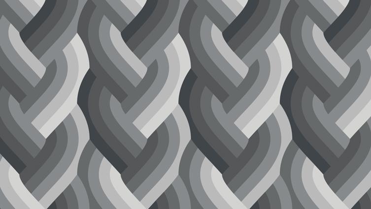 Echo Braid Black 42380 14