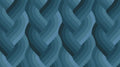 Echo Braid Navy 42380 18